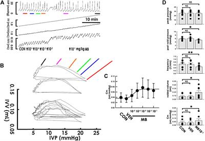 Solifenacin/Mirabegron Induces an Acute Compliance Increase in the Filling Phase of the Capacity-Reduced Urinary Bladder: A Pressure-Volume Analysis in Rats